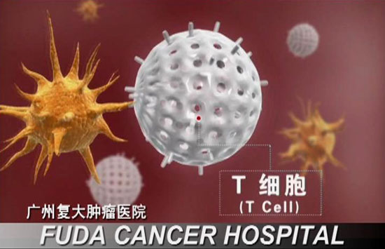 聯(lián)合免疫療法(CIC)